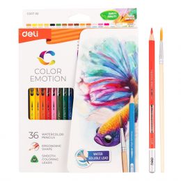 Colour Pencils - 3mm (36pc + Brush) Triangular - Water Colored - Deli