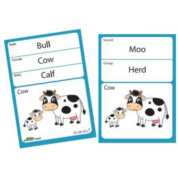 Flash Cards (A6) - Wild Animal & Farm Animals (40pc) D/Sided