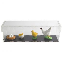 Life Cycle Objects - Chicken 4pc in Display Case