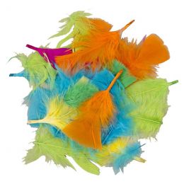 Feathers - Assorted Bright Colours (20pc)