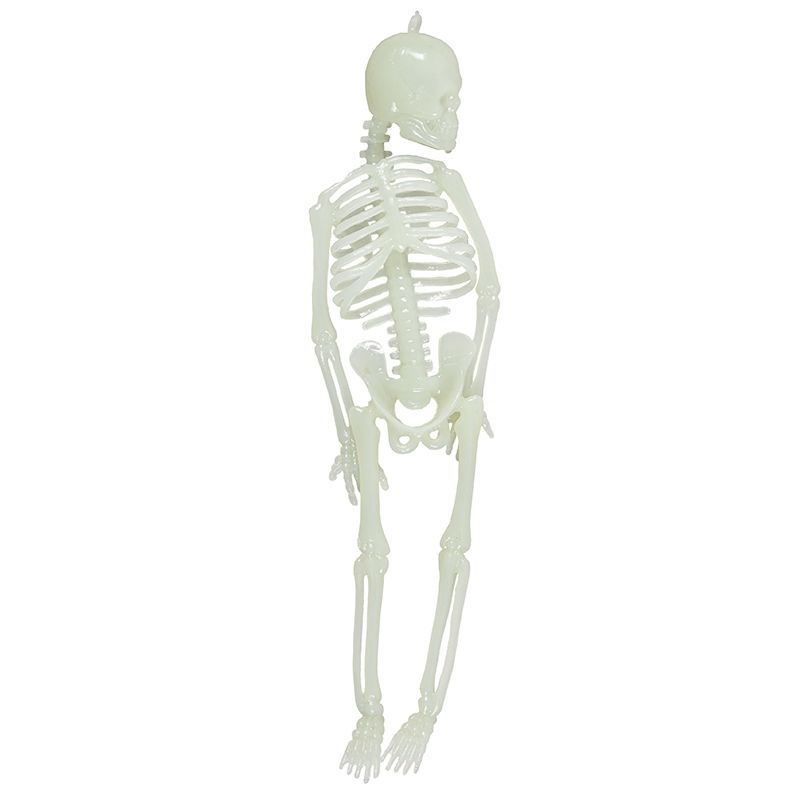 BOM - Alphabet Box (28 Drawer) - S Sound - Skeleton / Geraamte 19cm - Glow in the Dark