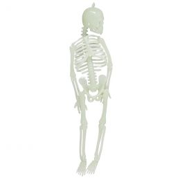 BOM - Alphabet Box (28...