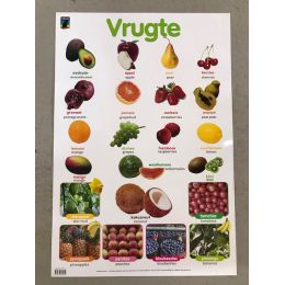 Poster - Vrugte (Fruit) -...