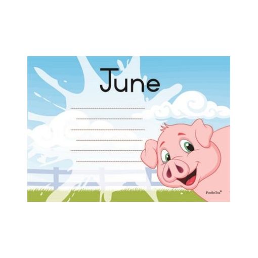 Birthday Chart - A4 - Pig (13pc)