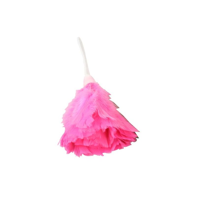 Feather Duster - Small Coloured