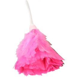 Feather Duster - Small