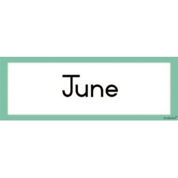 Flash Cards - Months Of The Year (12pc)