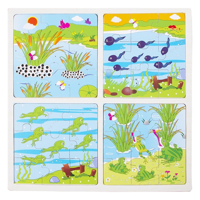 Frame Puzzle - Frog Life Cycle Story (4x9pc) - wood