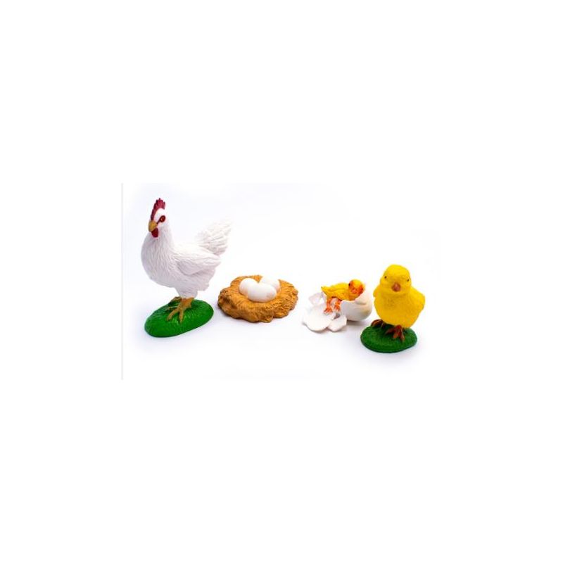 Life Cycle Objects - Chicken 4pc