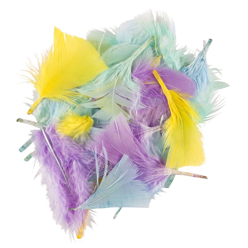 Feathers (6cm) - Assorted Pastel Colours (50pc)