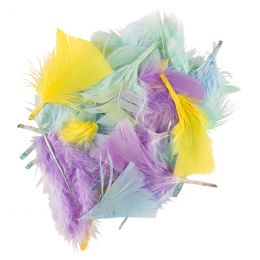 Feathers (6cm) - Assorted...