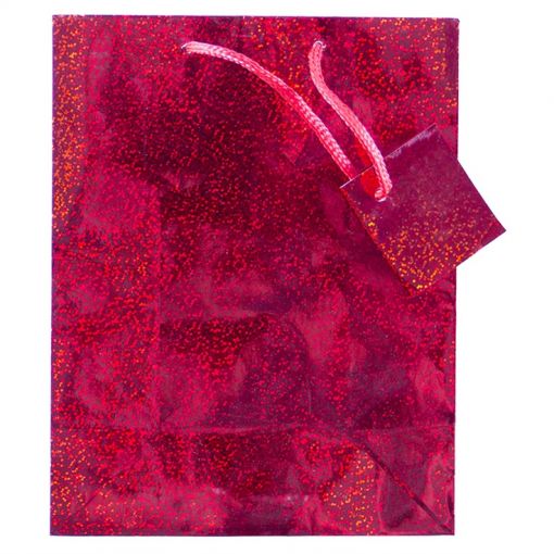 Gift Bag - Assorted Metallic - Medium ~18x23cm