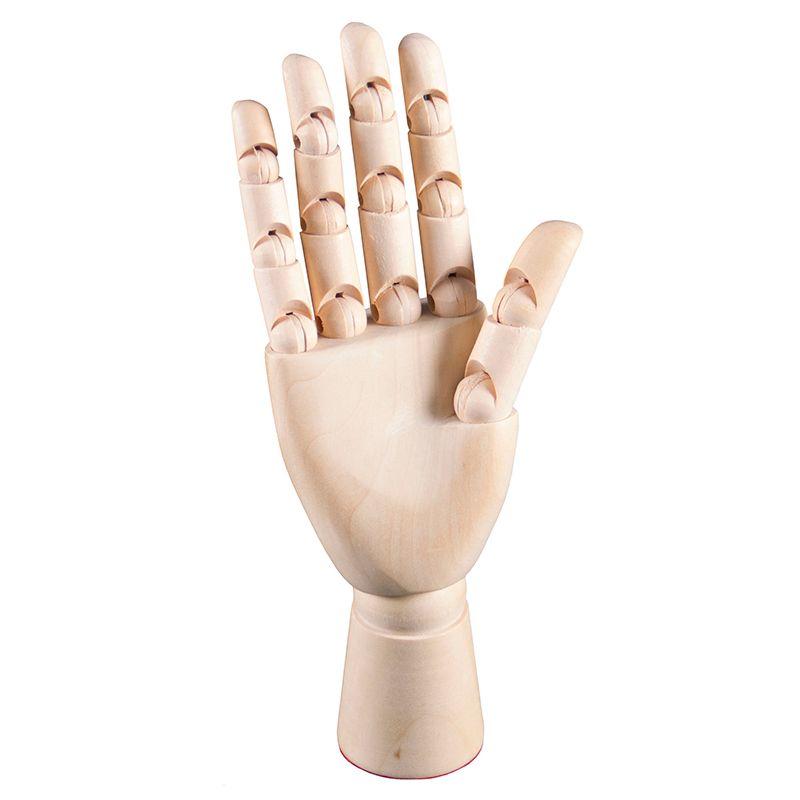 Manikin Model - Hand (~20cm)