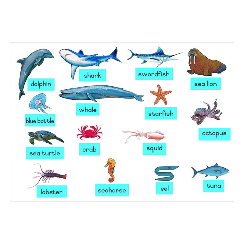 Felt Theme - Sea Creatures - Pictures (15pc) - Captions (15pc)