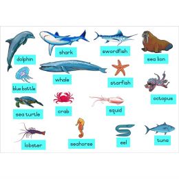 Felt Theme - Sea Creatures...