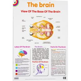 Poster - Brain