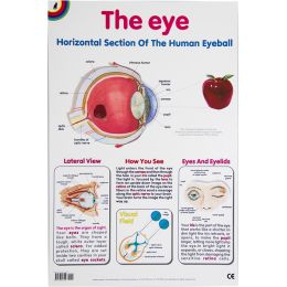 Poster - Eye