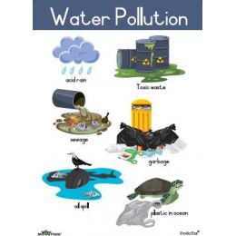 Poster - Water Pollution (A2)