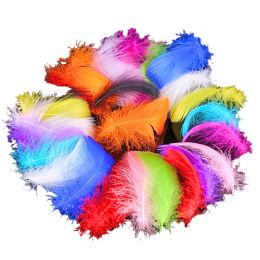Feathers Bulk (50g) -...