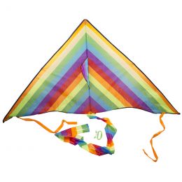 Kite - Large