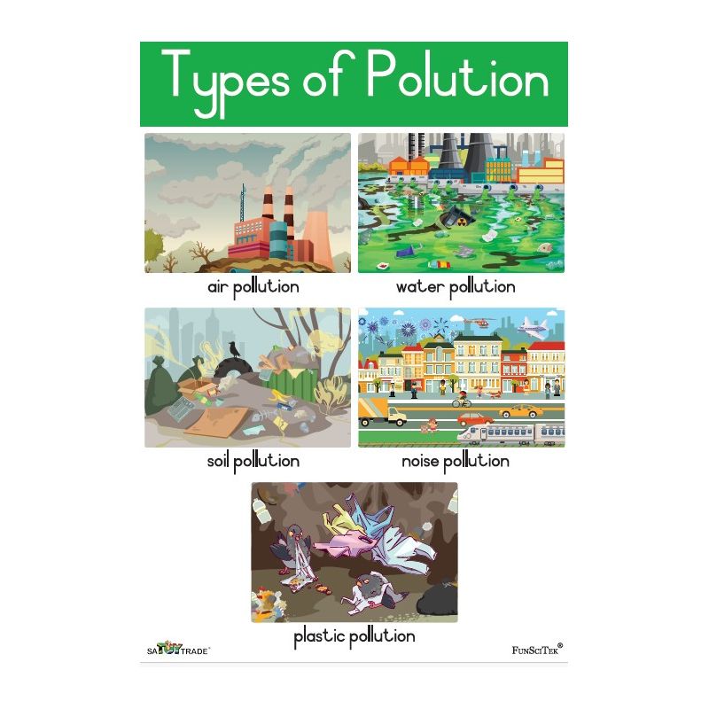 Poster - Types of Pollution (A2)