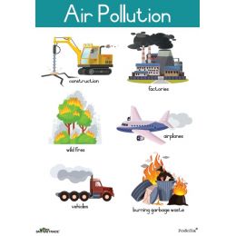 Poster - Air Pollution (A2)