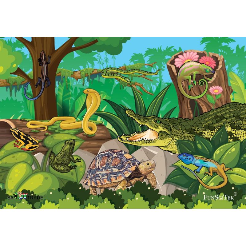 PZ Wood Frame - A4 24pc - Reptiles and Amphibians (BB)