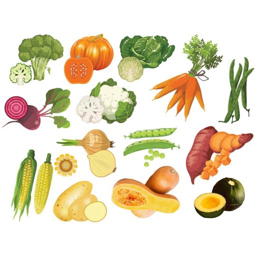Felt Theme - Vegetables (14pc)