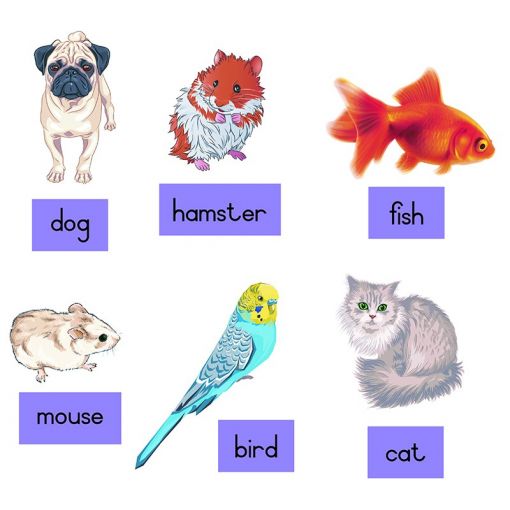 Felt Theme - Pets with Captions - Pictures (12pc) - Captions (12pc)