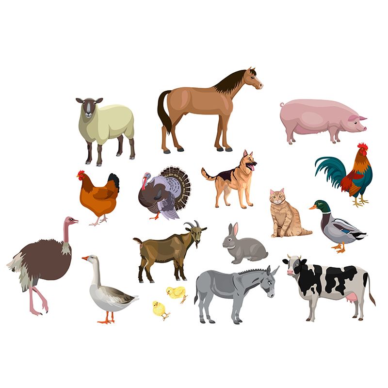 Felt Theme - Farm Animals (16pc)