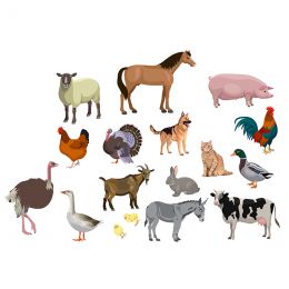 Felt Theme - Farm Animals...