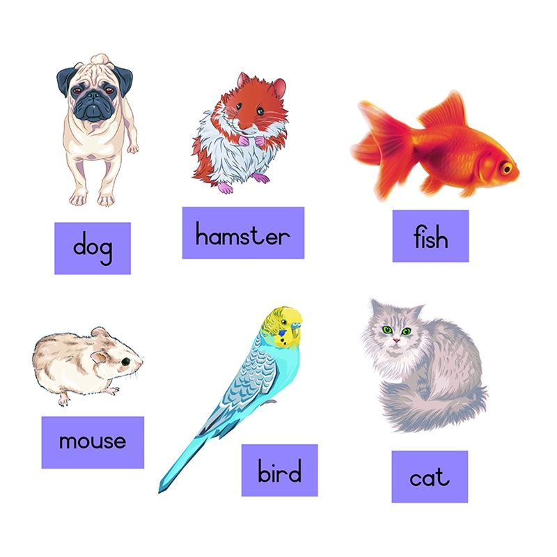 Felt Theme - Pets with Captions - Pictures (12pc) - Captions (12pc)