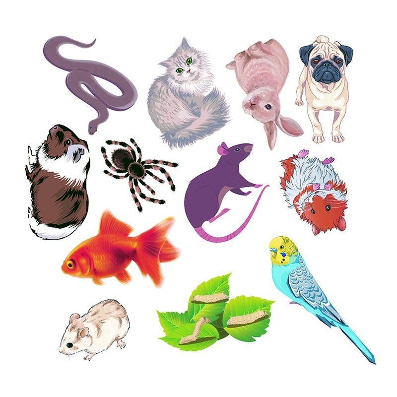 Felt Theme - Pets (12pc)