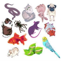 Felt Theme - Pets (12pc)