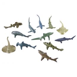 Sea Creatures - Small...