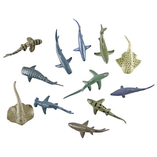 Sea Creatures - Small (12pc) Assorted Sharks