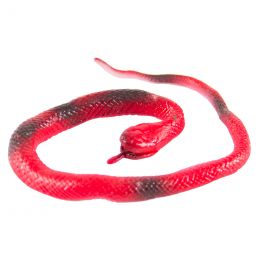 Snake - Reptiles - Medium...