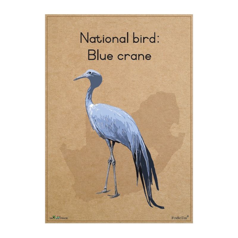 Poster - SA National Bird - Blue Crane (A2)