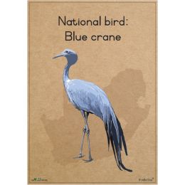 Poster - SA National Bird -...
