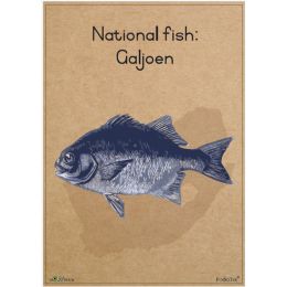 Poster - SA National Fish -...