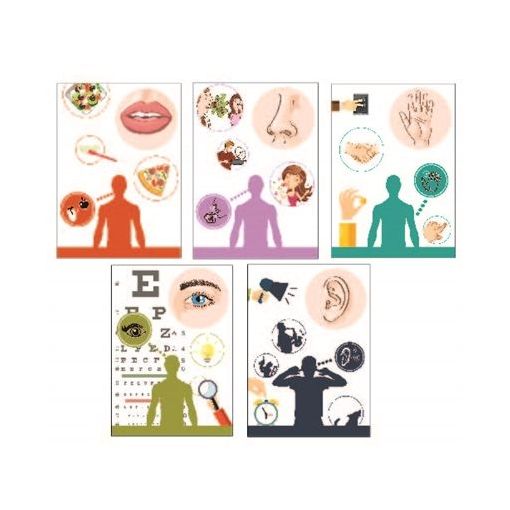 Flash Cards - Set of (10) - Afrikaanse Flitskaarte