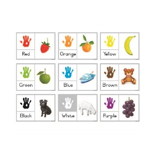 Flash Cards - Set of (10) - English