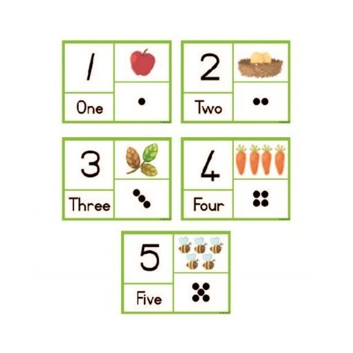 Flash Cards - Set of (10) - English