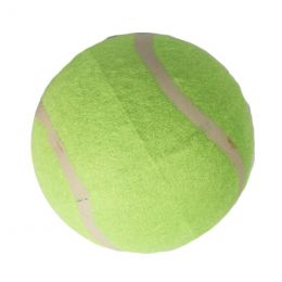 Cricket Ball - Rubber