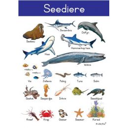 Poster - Seediere (A2)