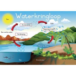 Poster - Waterkringloop (A2)