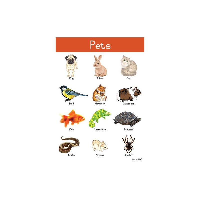Poster Set - Assorted-Special - ENG (14pc)