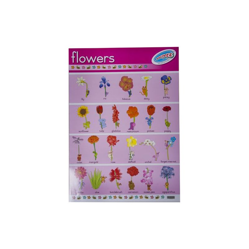 Flowers - Poster