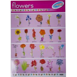 Flowers - Poster