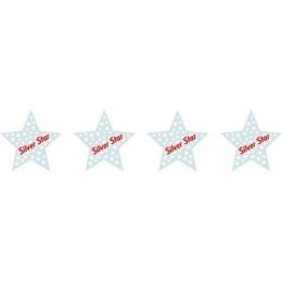 SILVER STAR STICKERS  (LARGE) ( 40 STICKERS)